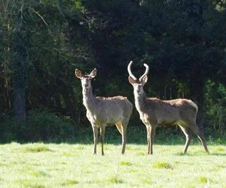 Chateau Du Perray بيت للعطل *