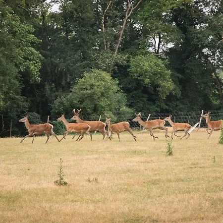 Chateau Du Perray בית נופש