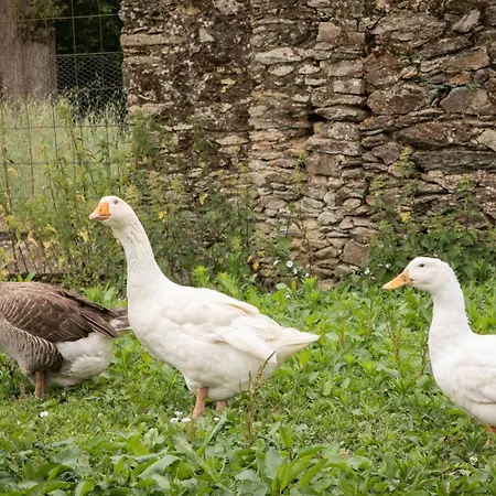 בית נופש Chateau Du Perray Saint-Mars-du-Désert
