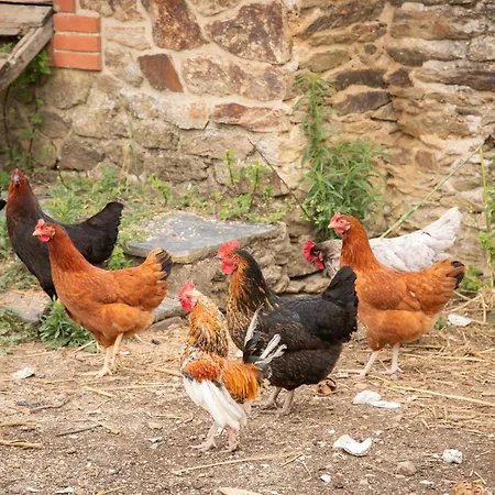 בית נופש Chateau Du Perray *