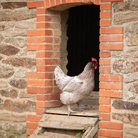 Chateau Du Perray *