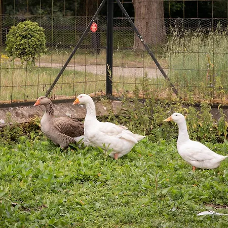 Chateau Du Perray Semesterbostad *