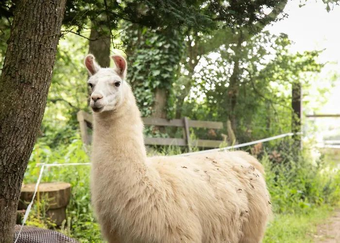 Chateau Du Perray * Saint-Mars-du-Désert