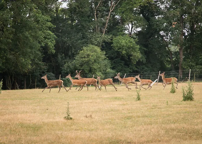 Chateau Du Perray Feriehus