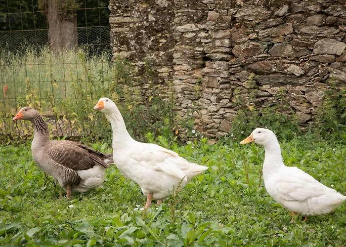 Feriehus Chateau Du Perray Saint-Mars-du-Désert