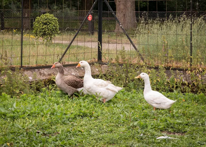 Chateau Du Perray Feriehus *